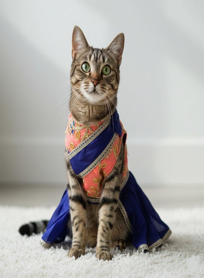 Lulala Traditional Indian Dog Dress for Festivals & Weddings | Sari-Style Ethnic Outfit for Dogs | Orange & Blue Designer Pet Costume with Golden Border for Small to Large Breeds - Image 3
